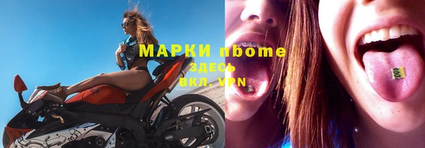 мет Алексин