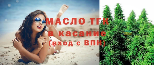 мет Алексин