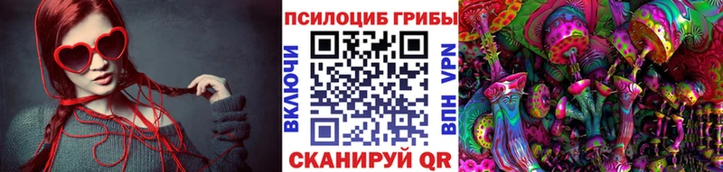 наркота  Псков  Галлюциногенные грибы MAGIC MUSHROOMS 